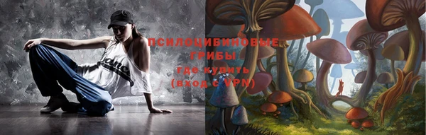 PSILOCYBIN Алзамай