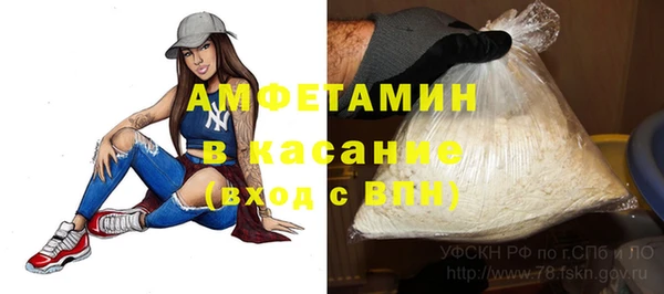 PSILOCYBIN Алзамай