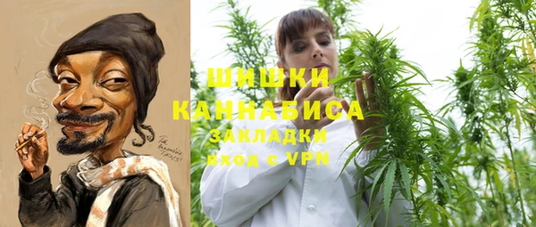 PSILOCYBIN Алзамай