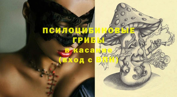 мяу мяу мука Алексеевка