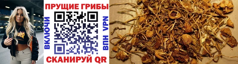 Галлюциногенные грибы Magic Shrooms  цена наркотик  Харовск 